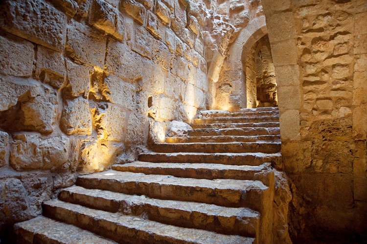Ajloun kasteel - Jordanië